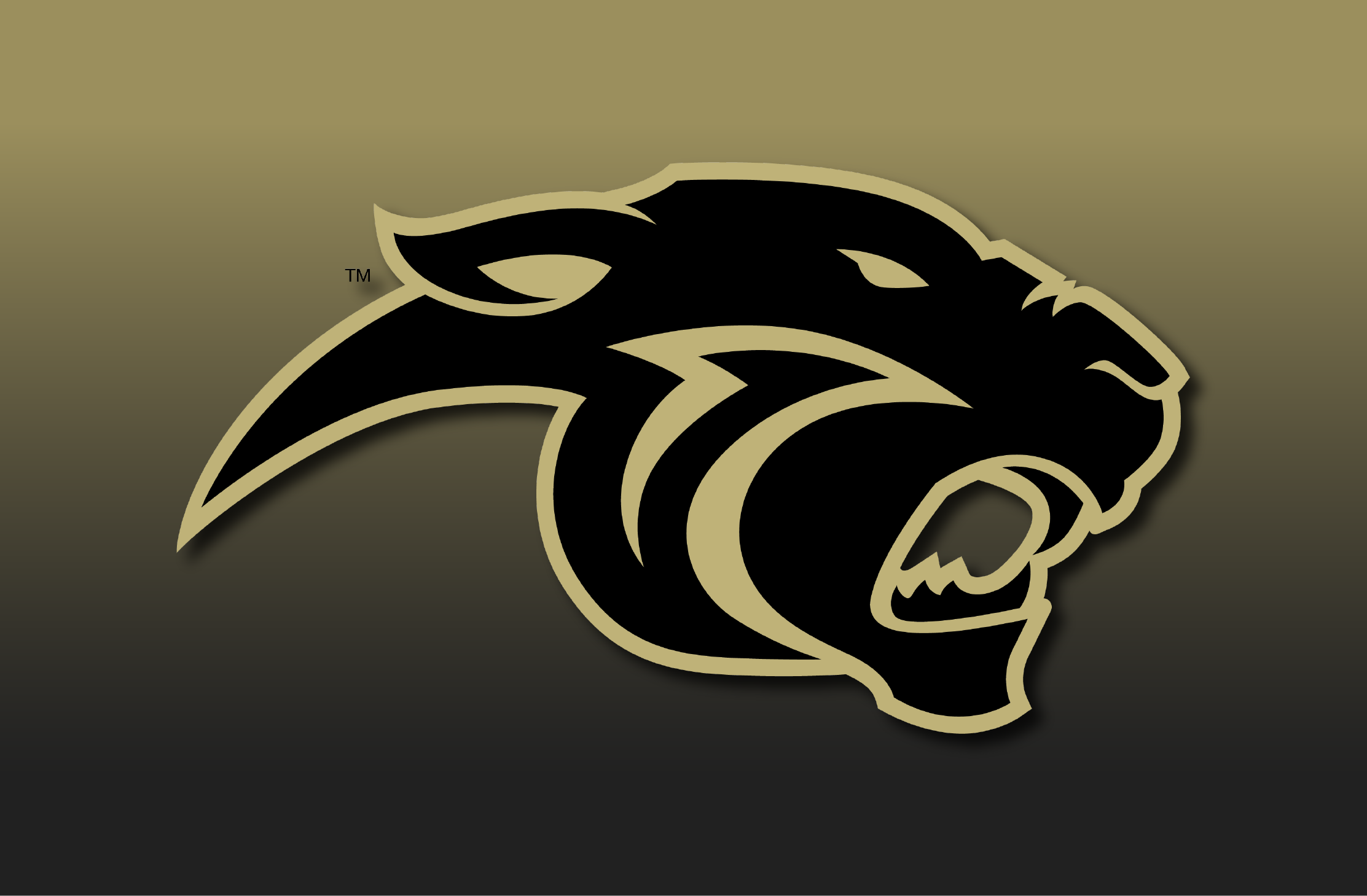Navo Logo Mascot on gradient 